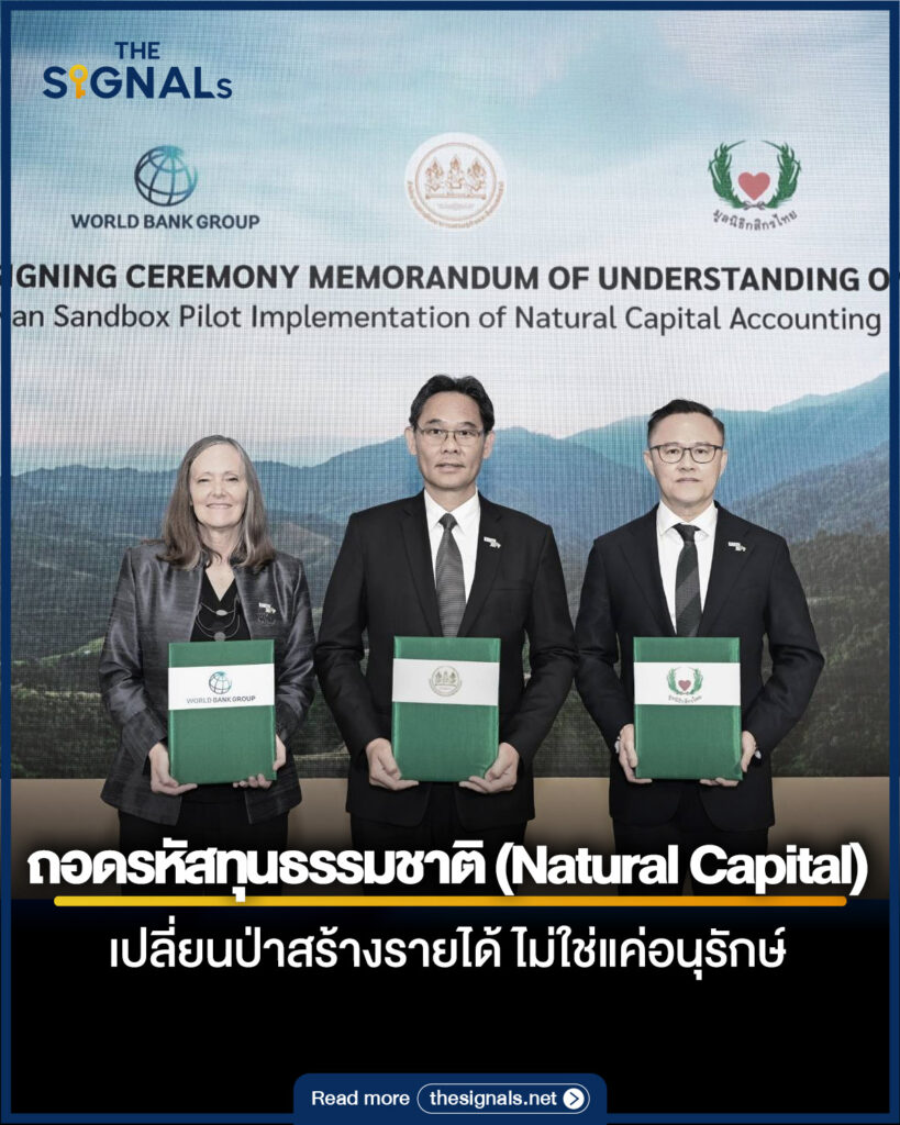 ถอดรหัสทุนธรรมชาติ (Natural Capital) เปลี่ยนป่าสร้างรายได้ ไม่ใช่แค่อนุรักษ์ 
