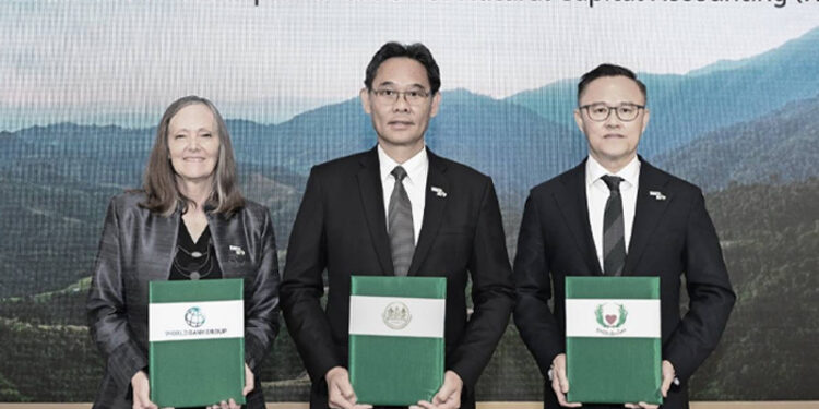 ถอดรหัสทุนธรรมชาติ (Natural Capital) เปลี่ยนป่าสร้างรายได้ ไม่ใช่แค่อนุรักษ์ 